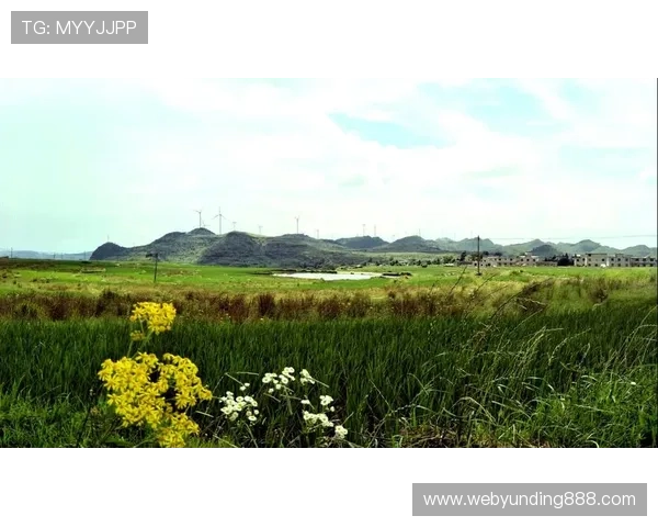 云顶登录界面优化与设计详解提高用户体验的方法与技巧分析云顶登录界面常见问题及解决方案全面解析云顶登录界面安全性提升策略与措施推荐云顶登录界面功能升级及个性化定制方案介绍云顶登录界面快速登录功能实现及优化建议云顶登录界面多设备无缝切换体验提升指南云顶登录界面中常见错误及排查步骤完整教程云顶登录界面用户登录流程详细攻略及注意事项云顶登录界面界面美化设计与用户交互优化云顶登录界面登录速度提升技术详解及实