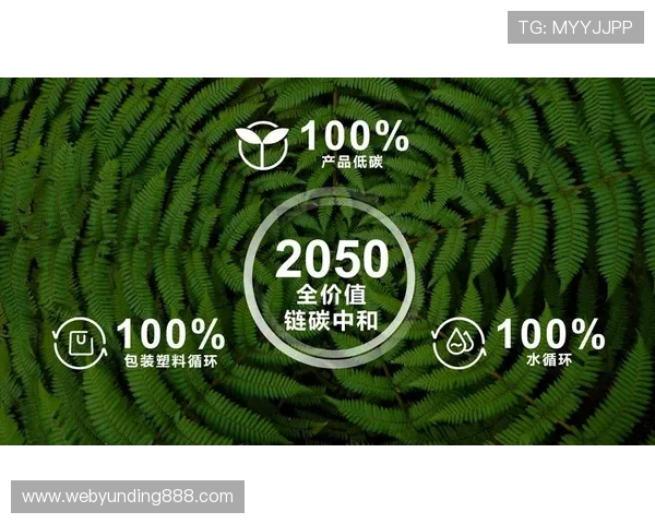 云顶集团简介：企业社会责任与可持续发展战略的具体实施情况