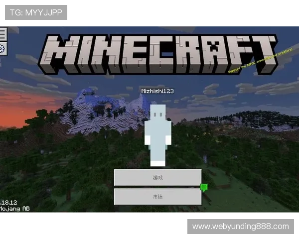 云顶网址链接访问速度优化技巧，提升游戏体验的实用建议