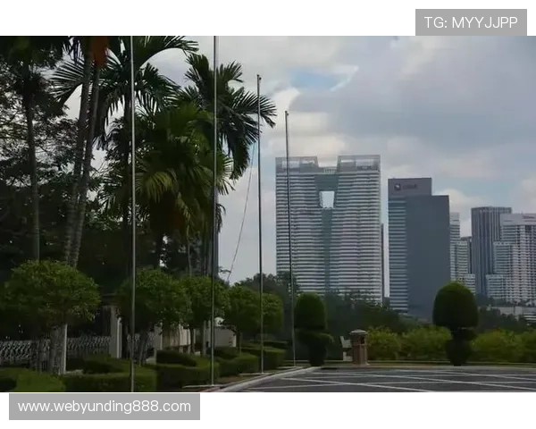 云顶赌场注册流程中的常见错误及避免方法总结