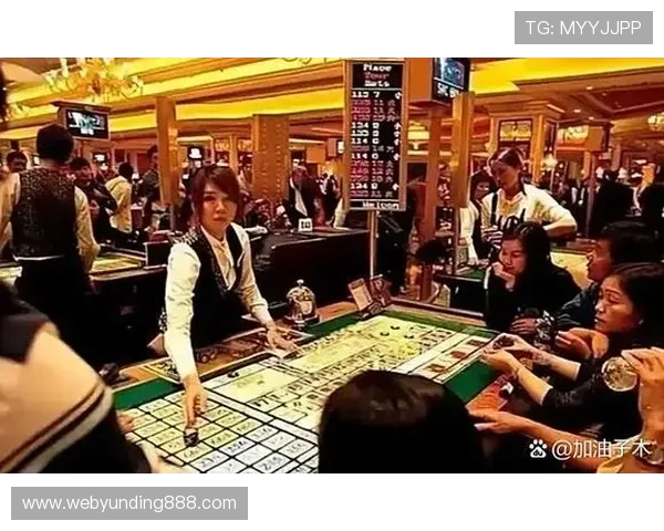 新手必看赌场买大小的详细操作流程与实用技巧，轻松入门赢取大奖