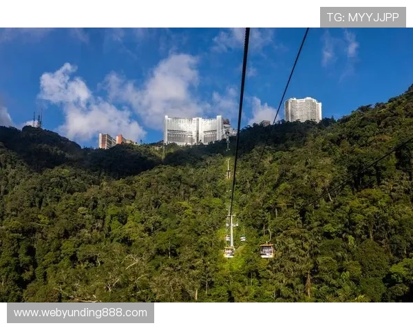 马来西亚云顶近期运营状况与市场表现全面解析