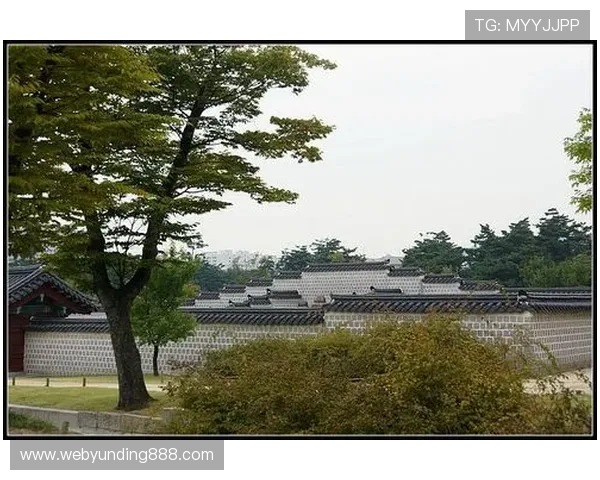BG大游真人登录线路不一样的情况下，玩家应掌握的多线路登录优化方法